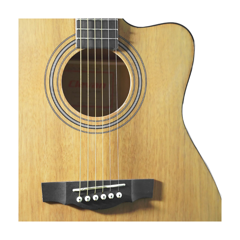 Guitarra Acústica CLEVAN SAC10 Colores - Calidad y garantía en Yaparu