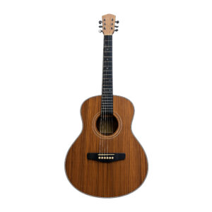 Guitarra Acústica TAYSTE TS-25-36 Caoba Mate - Calidad y garantía en Yaparu