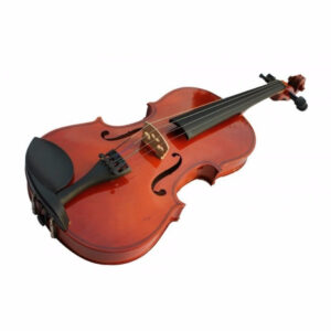 Violín STARSUN 1/10